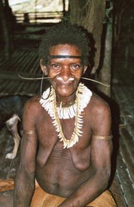 Papua-Kombai-tree people tribe