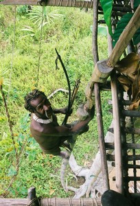 Papua-Kombai-tree people tribe