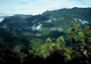 Papua Yali tribe