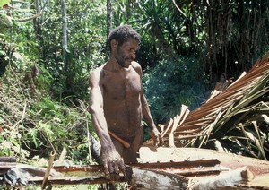 Papua Yali tribe