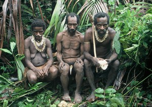 Kombai-Papua canibals
