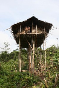 Kmen Korowai Dalam – Papua New Guinea 2009