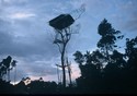 Papua – Korowai nad Kombai – tree paople tribes. Photo: Petr Jahoda