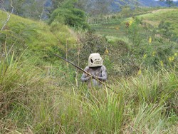 Papua New Guinea – Asaro Mudman